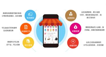 貝立凱代理商系統(tǒng)開發(fā)與銷售模式解析 電子產品電商運營新路徑